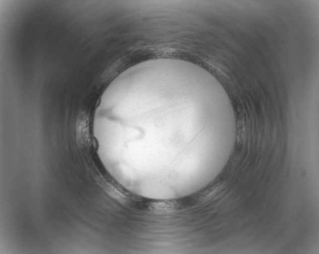 X0000067830238200605041631