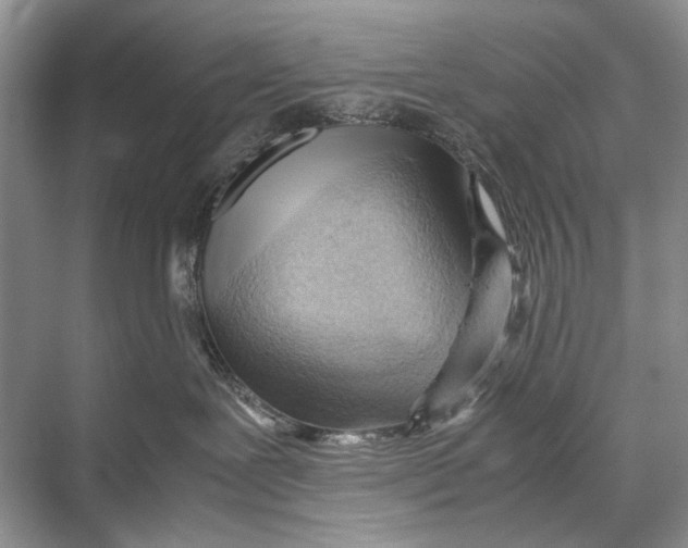 X0000067830239200605041631