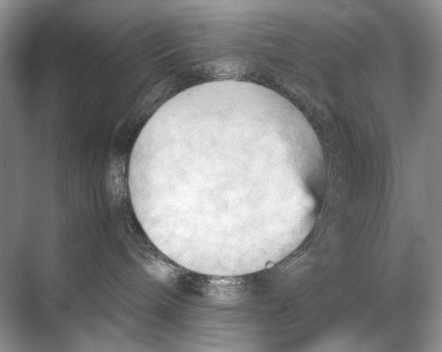 X0000067830240200605041631