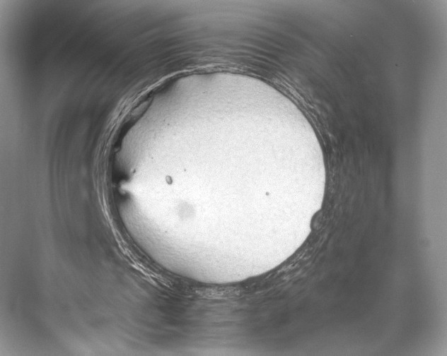 X0000067830241200605041631