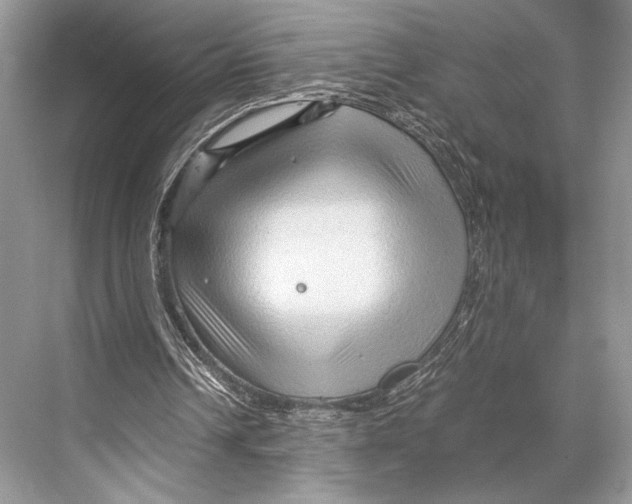 X0000067830242200605041631