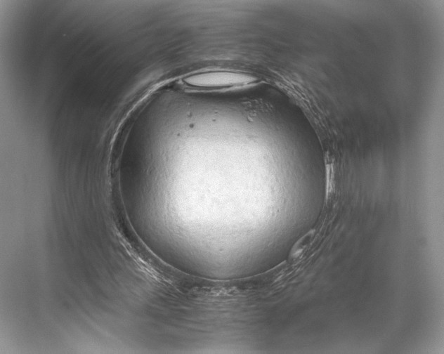 X0000067830243200605041631