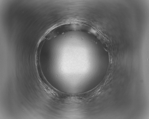 X0000067830244200605041631