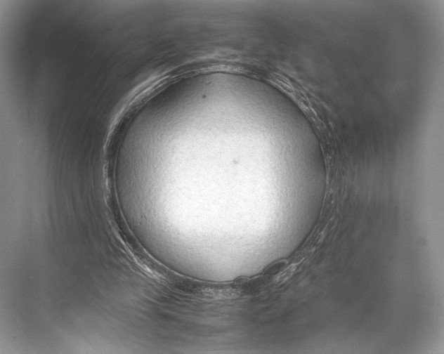 X0000067830245200605041631