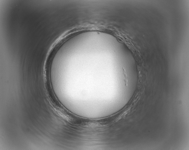 X0000067830246200605041631