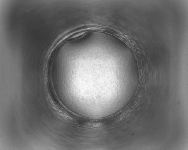 X0000067830247200605041631