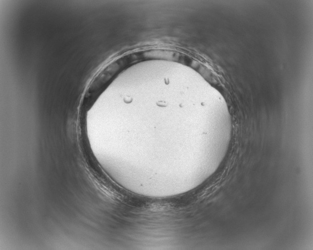 X0000067830248200605041631