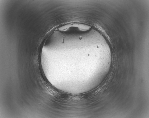 X0000067830249200605041631