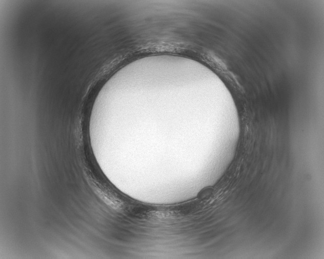 X0000067830250200605041631