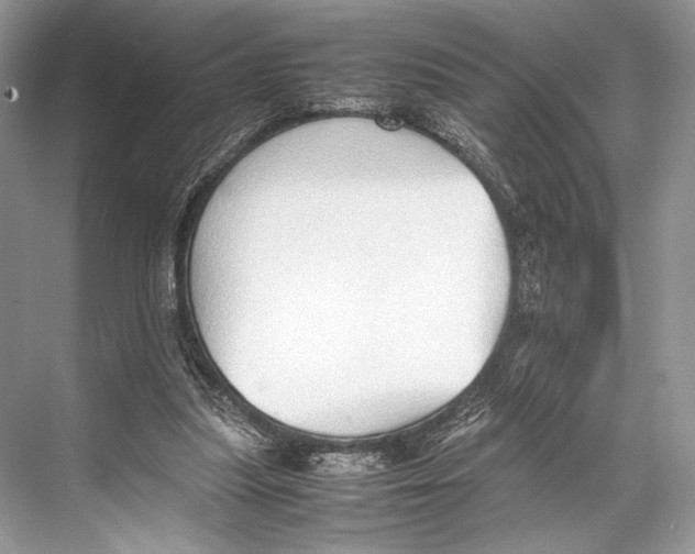 X0000067830251200605041631