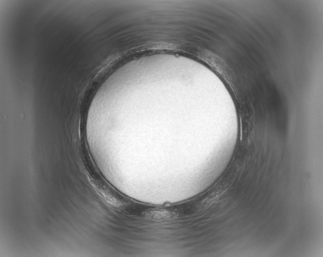 X0000067830253200605041631