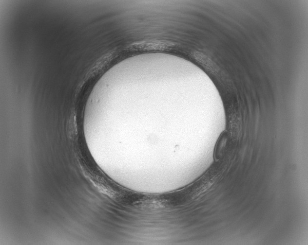 X0000067830254200605041631