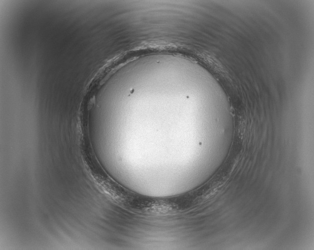 X0000067830256200605041631