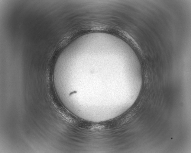 X0000067830257200605041631