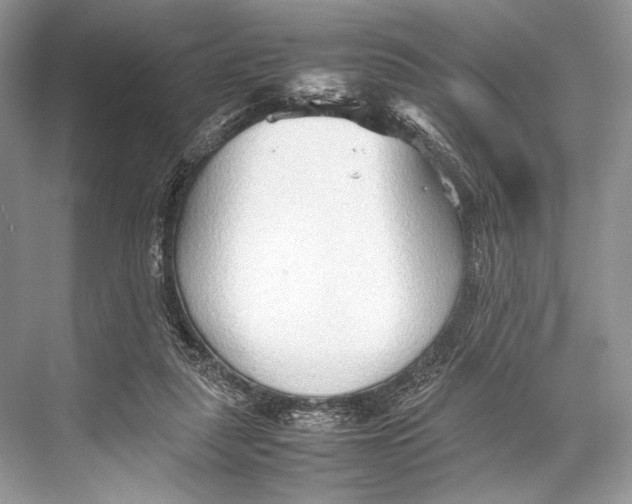 X0000067830259200605041631