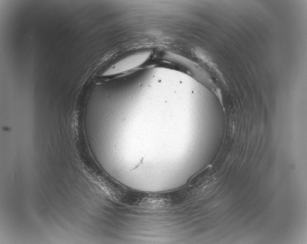 X0000067830260200605041631