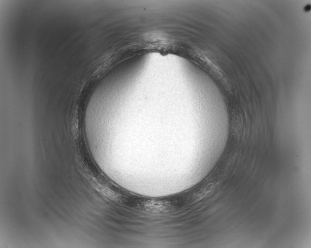 X0000067830261200605041631