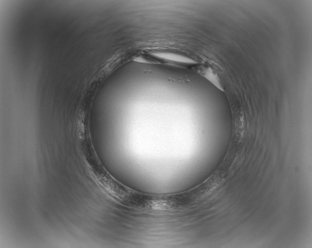 X0000067830264200605041631