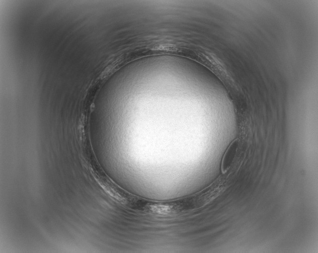 X0000067830265200605041631