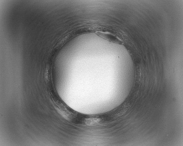 X0000067830266200605041631