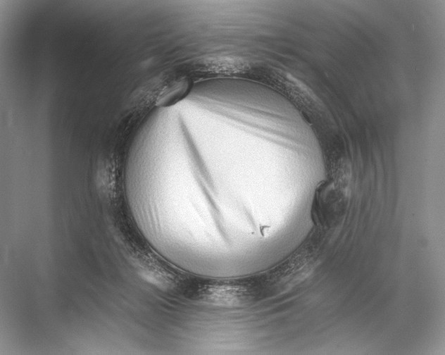 X0000067830268200605041631