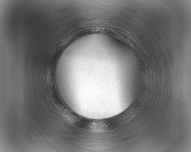 X0000067830270200605041631