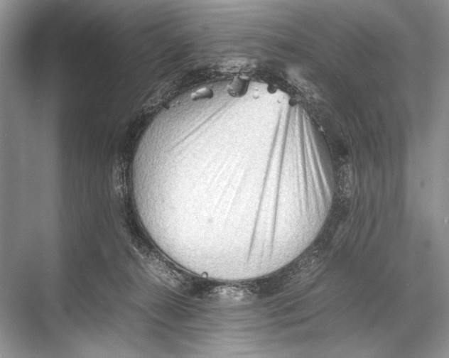 X0000067830272200605041631