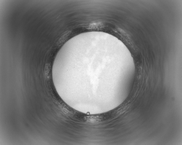 X0000067830273200605041631