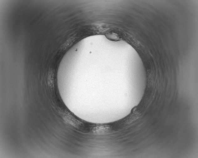 X0000067830274200605041631