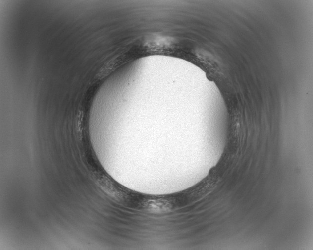 X0000067830275200605041631