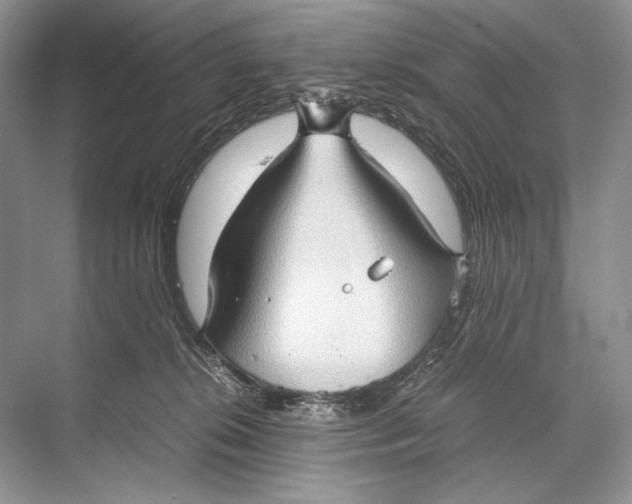 X0000067830276200605041631