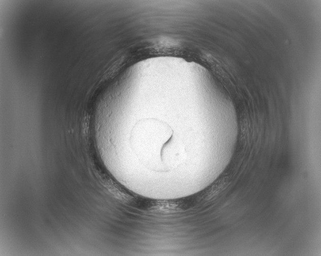 X0000067830278200605041631