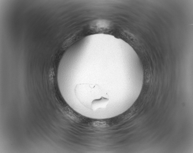 X0000067830279200605041631