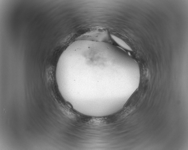 X0000067830280200605041631