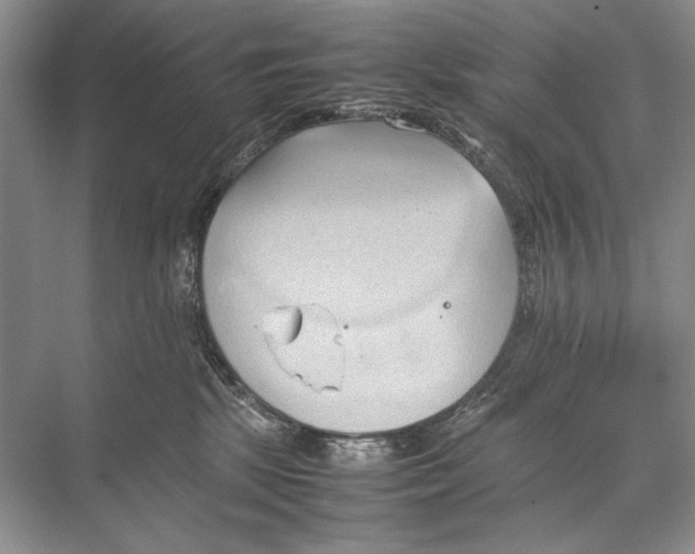 X0000067830281200605041631