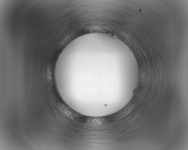 X0000067830282200605041631