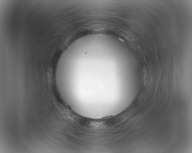 X0000067830283200605041631