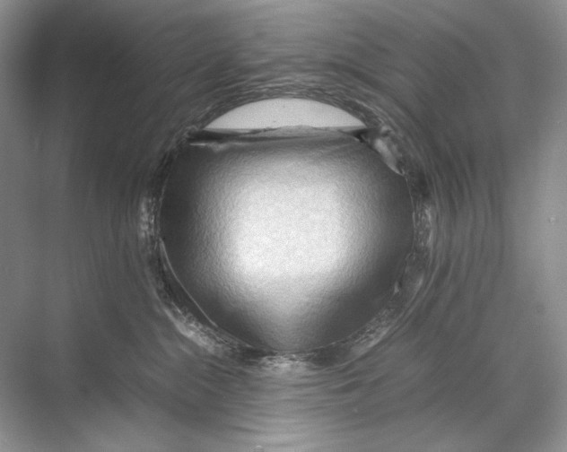 X0000067830284200605041631