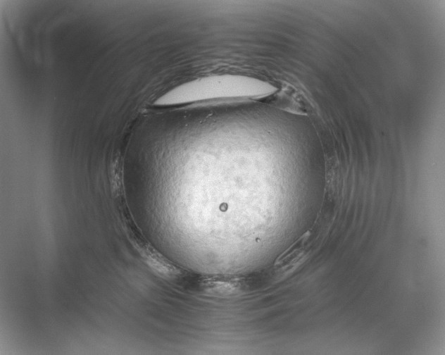 X0000067830285200605041631