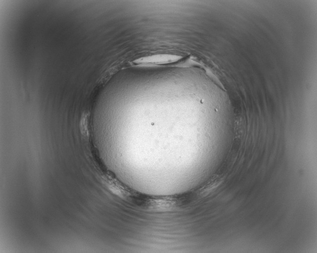 X0000067830286200605041631