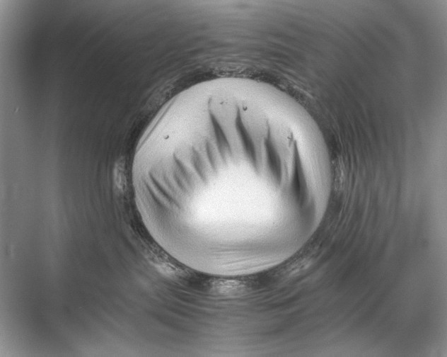 X0000067830287200605041631