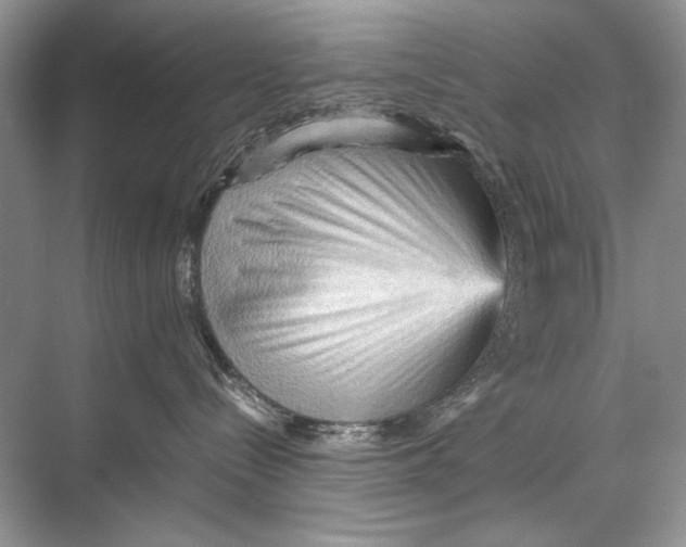 X0000067830288200605041631