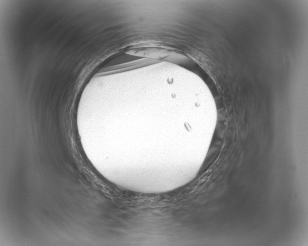 X0000067830289200605041631