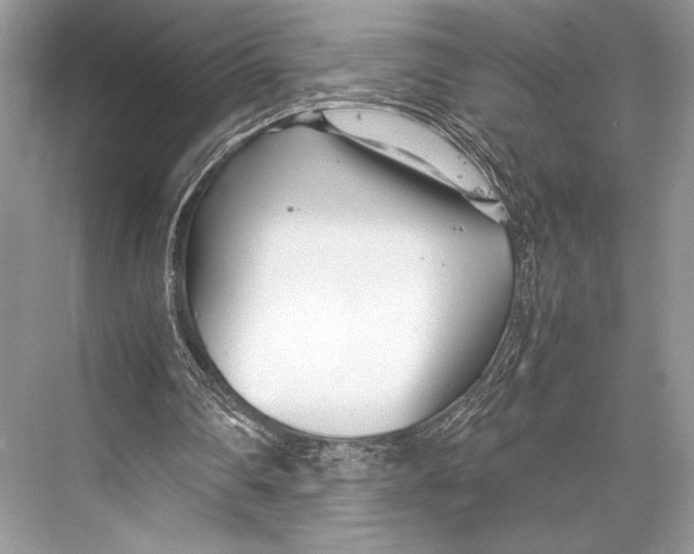 X0000067830290200605041631