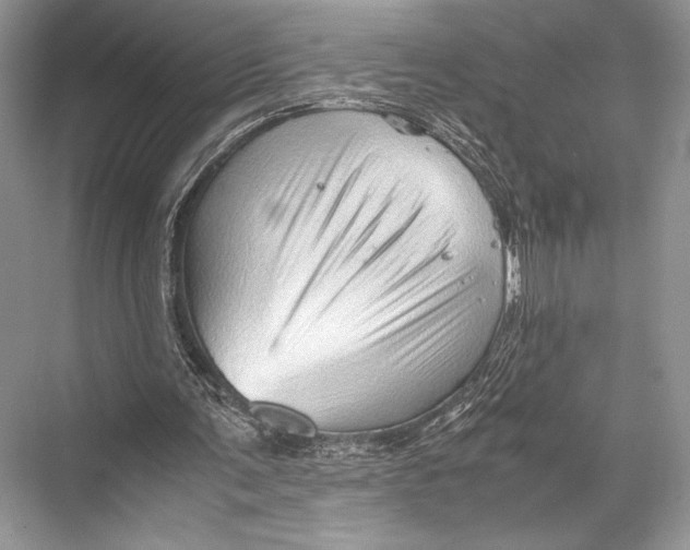 X0000067830291200605041631