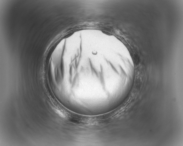 X0000067830293200605041630