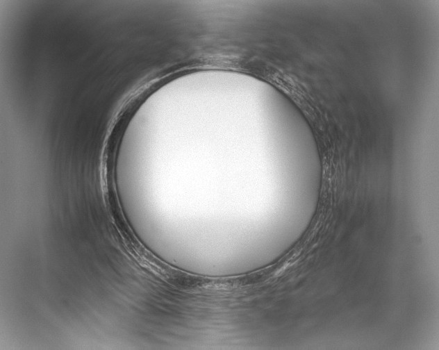 X0000067830294200605041630