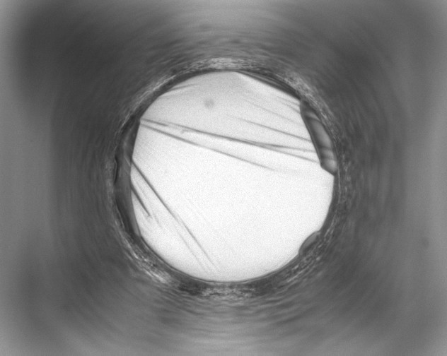 X0000067830297200605041630