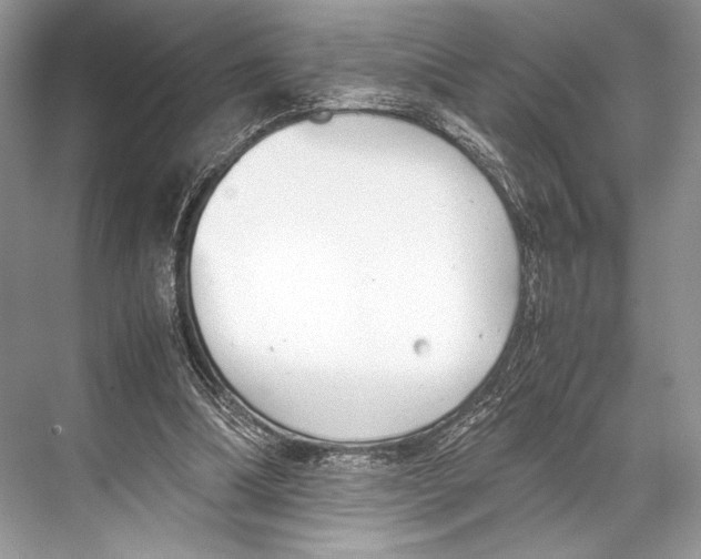 X0000067830298200605041630