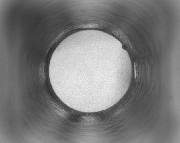 X0000067830300200605041630